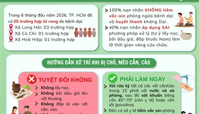CẢNH BÁO TÌNH HÌNH BỆNH DẠI