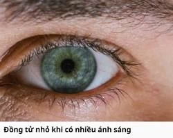 Mờ mắt khi nhìn vào ban đêm